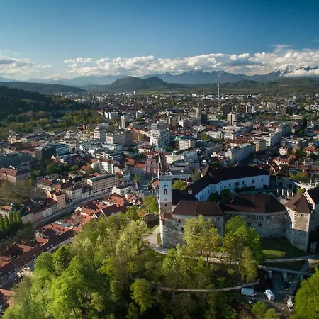 Rosy Ljubljana
